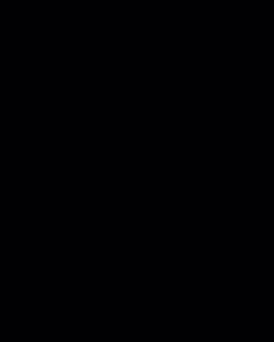 Photo Graphic + Logo Outline Video